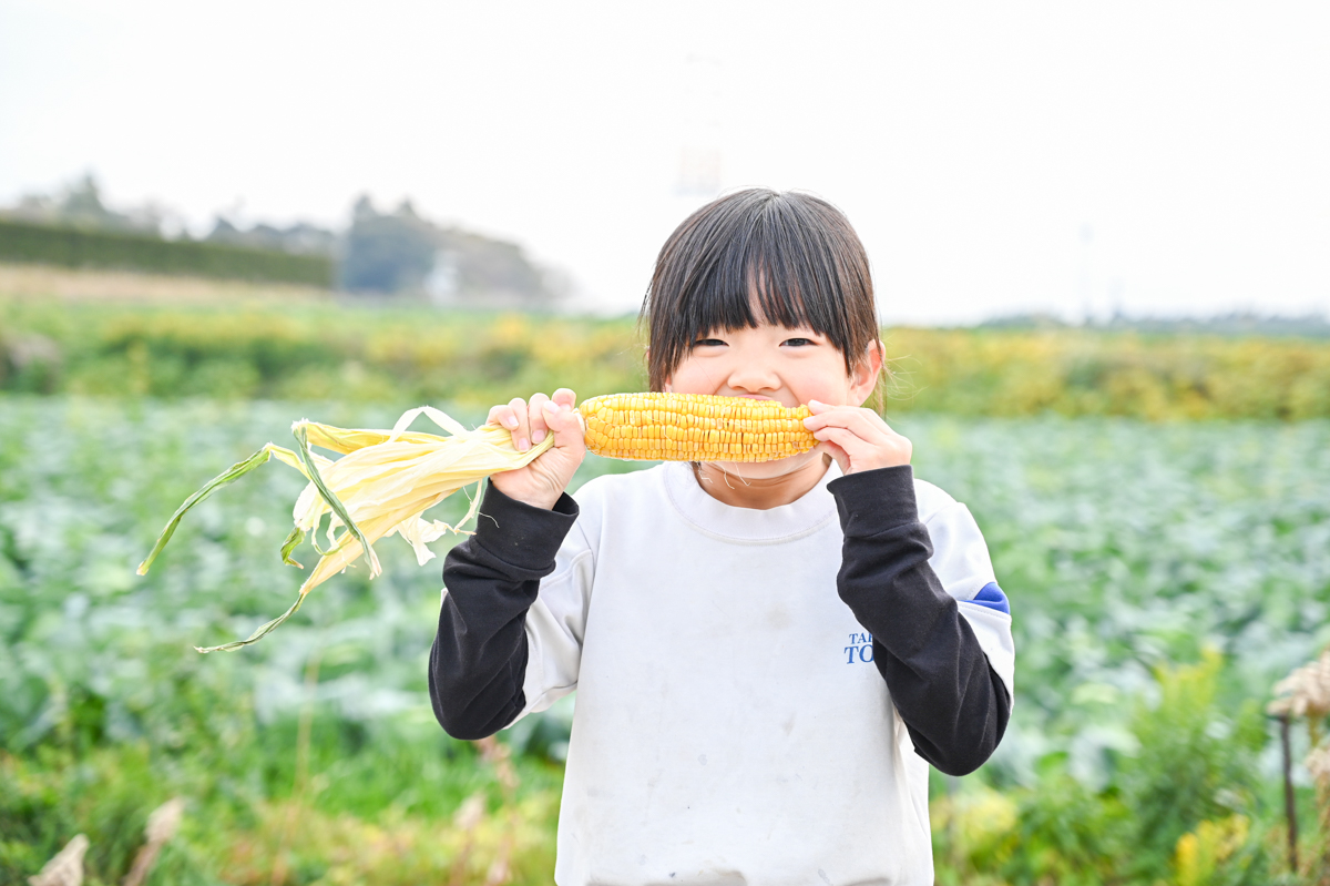 とうもろこしを食べる写真